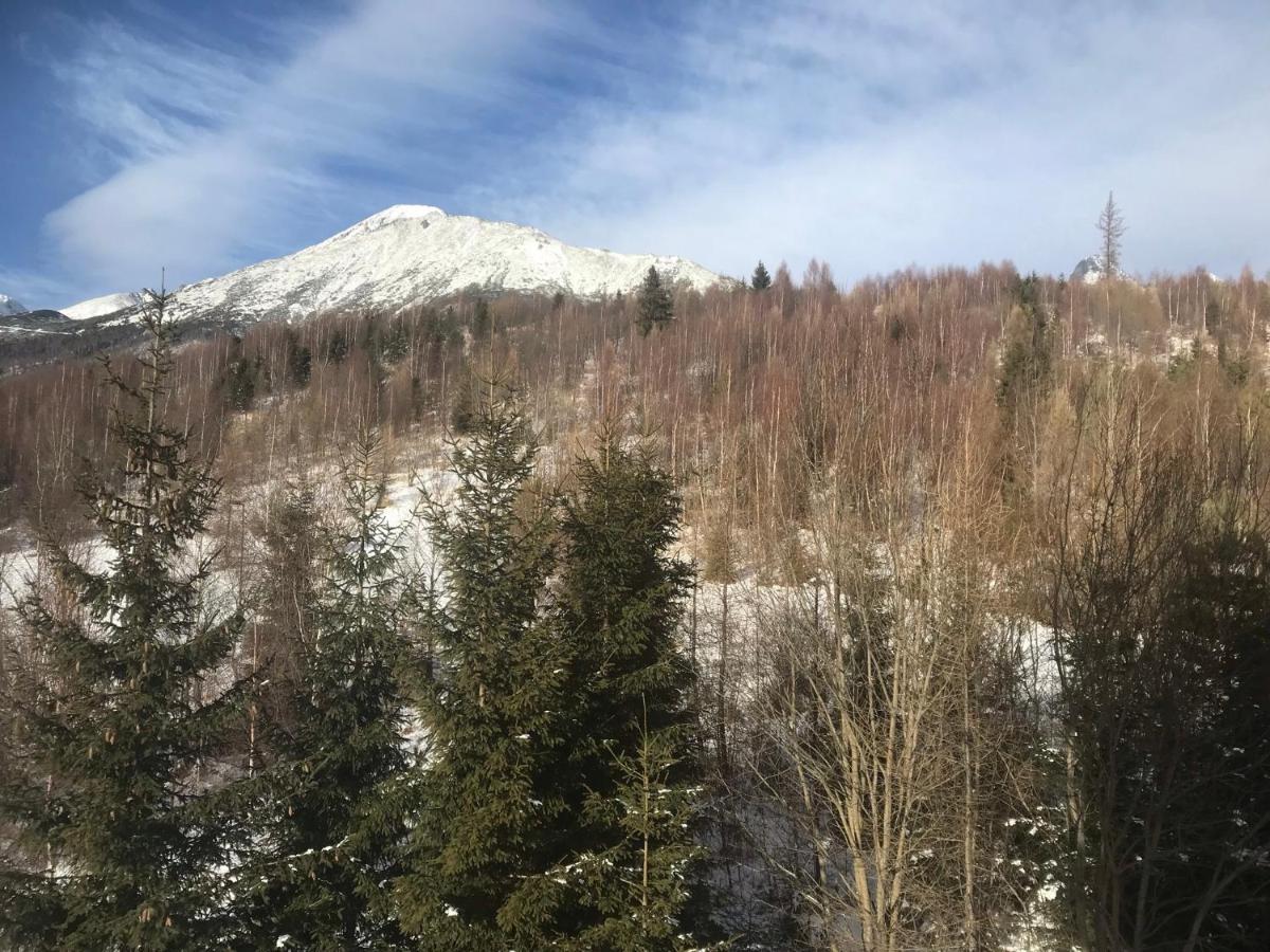 Apartmany Vila Vlasta Vysoké Tatry Dış mekan fotoğraf